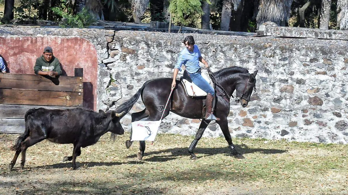 TIENTA DIEGO VENTURA